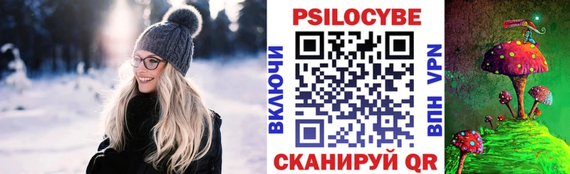 Псилоцибиновые грибы Psilocybine cubensis  Купить где  Махачкала