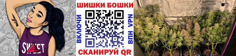 Бошки марихуана сатива Махачкала